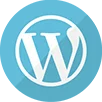 web design icon
